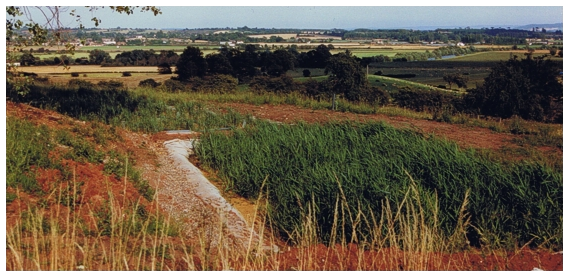 Reed-bed Case Study - by Cress Water Solutions