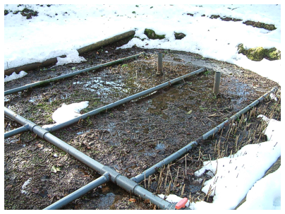 Winter Reed-Beds checked by Cress Water Solutions Ltd